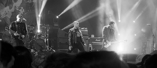 Screeching Weasel groezRock 2014